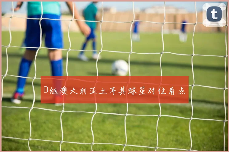D组澳大利亚土耳其球星对位看点