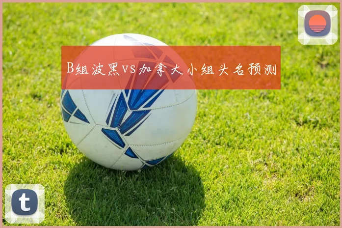 B组波黑vs加拿大小组头名预测
